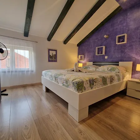 公寓 Marica 扎达尔